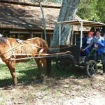 Full-Day Tour to Chaco from Asunción - Is This Tour Worth It? Analyzing the Value