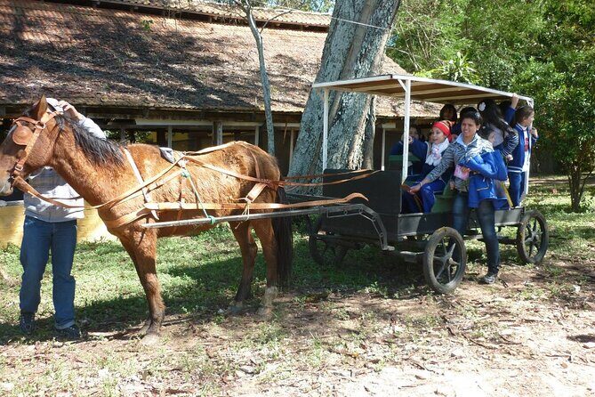 Full-Day Tour to Chaco from Asunción - Is This Tour Worth It? Analyzing the Value
