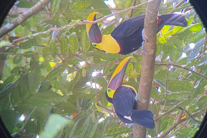 Full Day Tour to Hacienda Baru and Nauyaca Waterfalls - FAQ