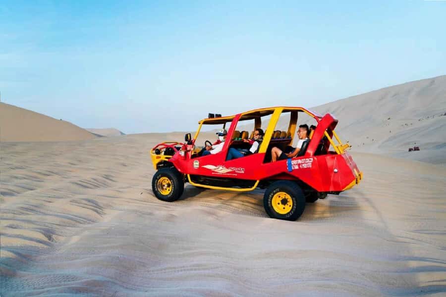 Full day tour to Huacachina and Paracas - An In-Depth Look at the Tour Experience