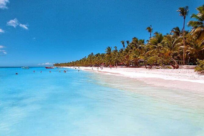 Full Day Tour to Saona Island by Catamaran and Speedboat - Authentic Perspectives from Fellow Travelers