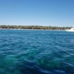 Full-Day Tour to Saona Island from Bayahibe with Lunch - Who Should Consider This Tour?