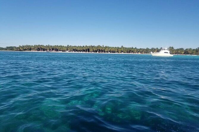 Full-Day Tour to Saona Island from Bayahibe with Lunch - Who Should Consider This Tour?