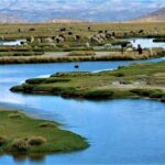 Full Day Tour to the Colca Canyon - Transportation & Guide: Comfort & Insight