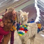 Full Day Tour to the Mountain of Colors - Small Group - The Sum Up: Who Should Consider This Tour?