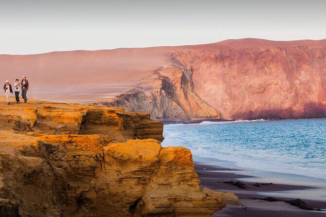 Full Day Tour to Visit Ballestas Islands and Paracas Reserve - Frequently Asked Questions