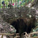 Full Day Tour Window Cave and Hiking on the Beach - Why This Tour Offers Great Value