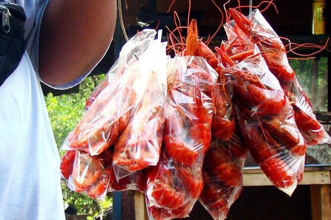 Full Day Trip to South Coast Jamaica from Kingston - Detailed Breakdown of the Itinerary