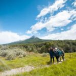 Full Day Trip to Tierra del Fuego National Park - What’s Included and What’s Not