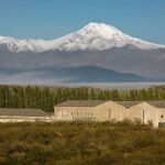 Full Day Uco Valley with lunch - Who Will Love This Tour?