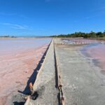 Full Day Vamos Pa la Isla Southwest Experience - A Few Considerations