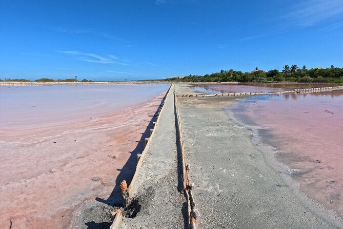 Full Day Vamos Pa la Isla Southwest Experience - A Few Considerations