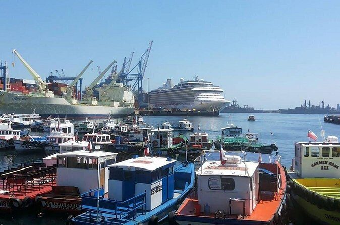 Full Day Viña Casas del Bosque + Viña del Mar Valparaíso - A Detailed Look at the Full Day Viña Casas del Bosque + Viña del Mar Valparaíso Tour