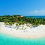 Full-day Whale watching Tour in Samana Bay from Punta Cana - FAQs