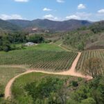 Full-Day Winery Tour from Rio - Why This Tour Offers Good Value