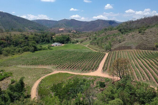Full-Day Winery Tour from Rio - Why This Tour Offers Good Value