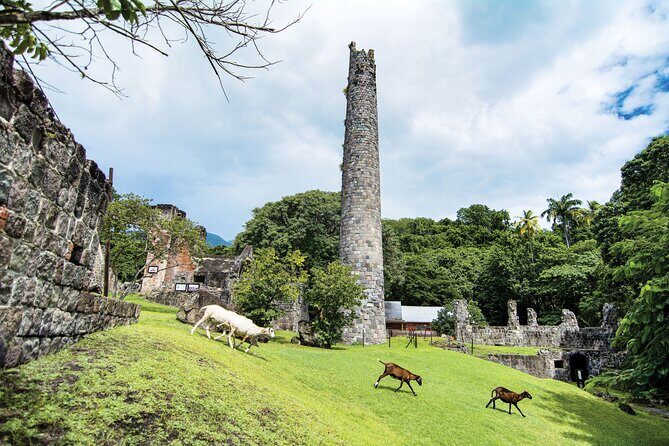 Full Island Private Tour - Exploring the Tour Itinerary in Detail