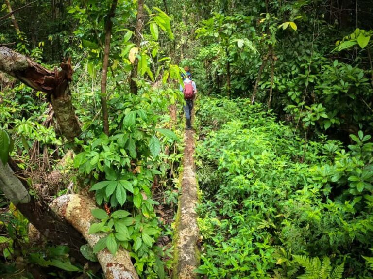 Full jungle experience - Exploring the Full Jungle Experience: A Detailed Review