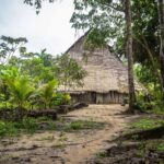 Full jungle experience tour - Authenticity and Expert Guidance