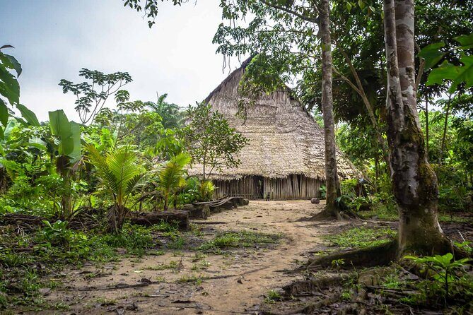 Full jungle experience tour - Authenticity and Expert Guidance