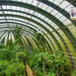 Full Monteverde Cloud Forest Experience With Ziplining. - Is This Tour for You?