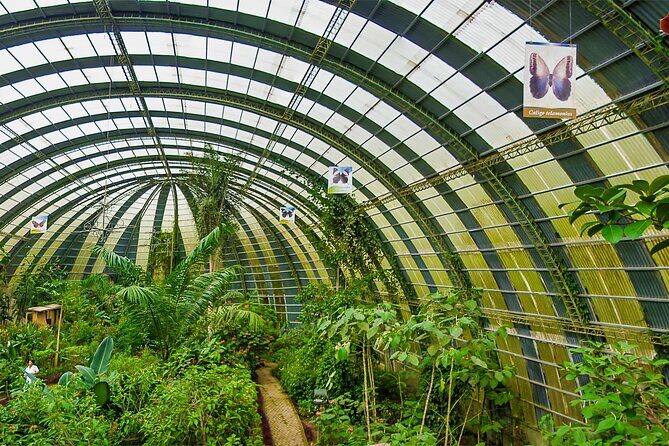 Full Monteverde Cloud Forest Experience With Ziplining. - Is This Tour for You?