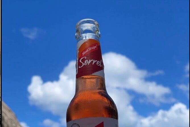 Full-Day at Margaritaville 7Mile Beach & Rick's Cafe in Negril - Exploring the Tour in Detail