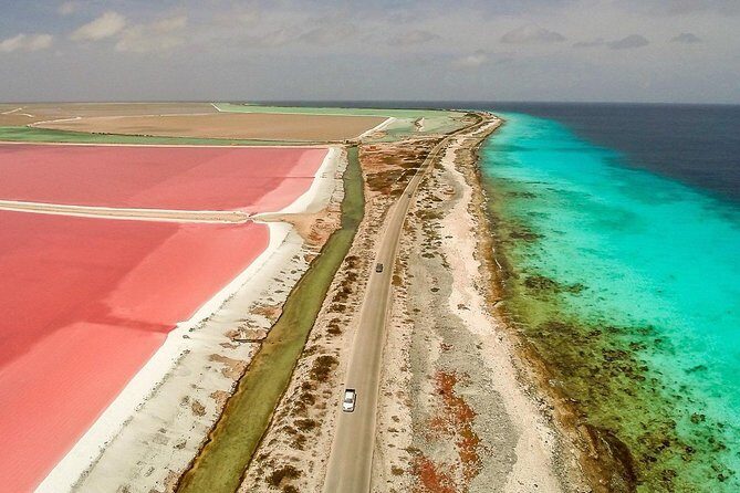 Fully Private North and South Tour with a Local Guide. - Who Is This Tour Best For?