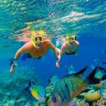 Fun Catamaran Snorkeling Party, Sightseeing & Transportation - Practical Details and Tips