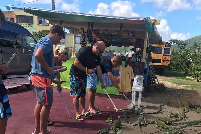 FUN DAY St.Maarten Island Sightseeing Tour with Beach - Transportation, Timing, and Group Size