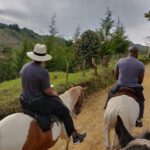 Fun Horse Rides Near Bogota - Who Is This Tour Best For?
