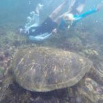 Galapagos 5-Day Tour Beyond the Islands - What We Love About This Tour