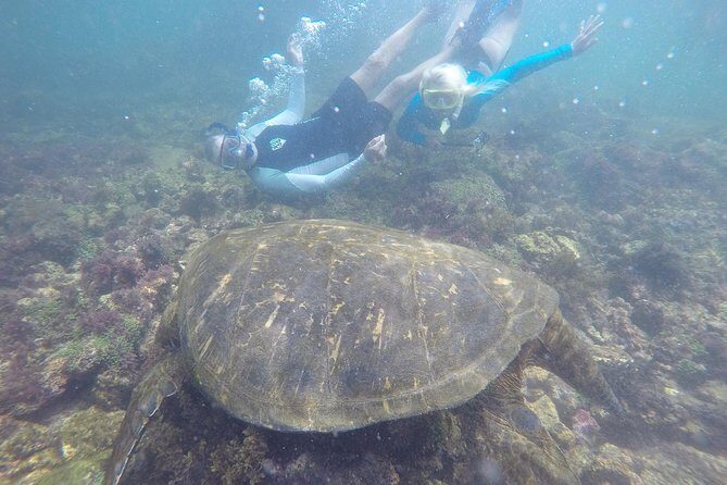 Galapagos 5-Day Tour Beyond the Islands - What We Love About This Tour