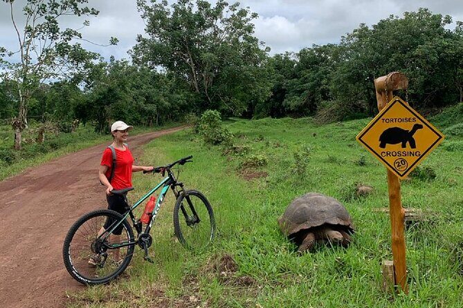 GALAPAGOS route by ELECTRIC BIKE + reserve the CHATO - Why This Tour Stands Out