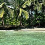 Gandoca-Manzanillo Hike Tour with Dolphin Watching - Who Should Consider This Tour?