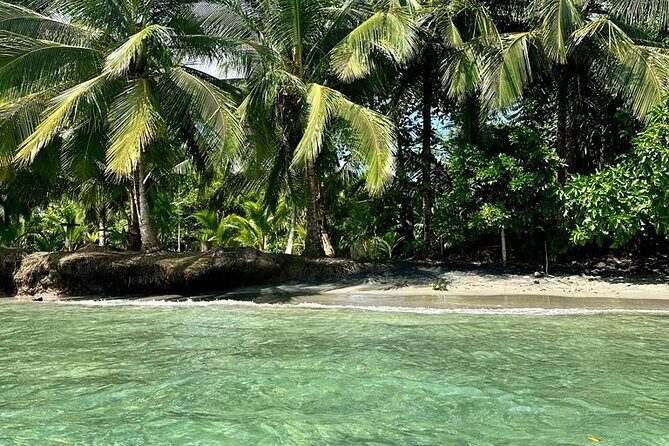 Gandoca-Manzanillo Hike Tour with Dolphin Watching - Who Should Consider This Tour?