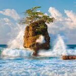 Gandoca - Manzanillo Trail & Great Green Macaw Tour - Final Thoughts