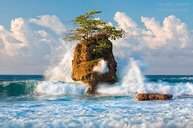 Gandoca - Manzanillo Trail & Great Green Macaw Tour - Final Thoughts