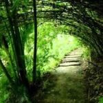 Garden Delight Full-Day Tour in Barbados - FAQ