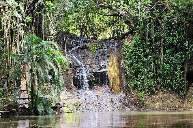 Gardens and Nature Chauffeur Adventures St. Lucia - Who Will Enjoy This Tour?