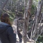 Gastronomic Tour in Puerto Almanza - The Sum Up