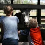 Gaucho Day Tour Don Silvano Estancia From Buenos Aires - Who Will Love This Tour?