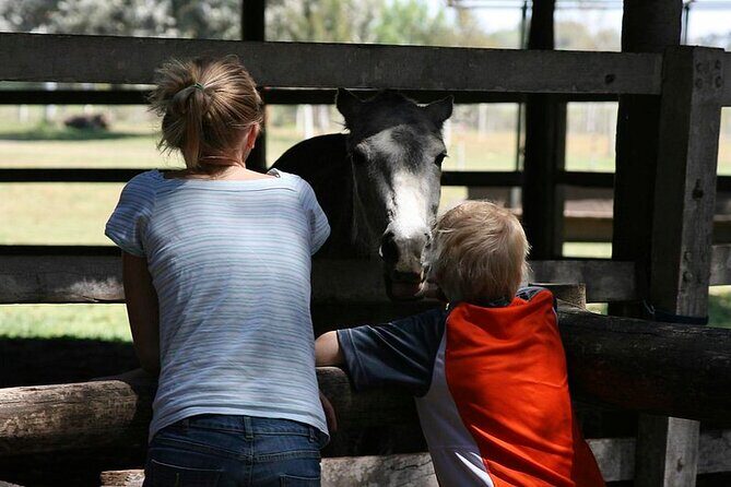 Gaucho Day Tour Don Silvano Estancia From Buenos Aires - Who Will Love This Tour?