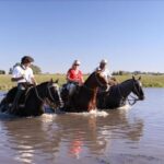 Gaucho Small-Group Full Day at a Farm in Buenos Aires - Exploring the Full Day: What to Expect and Why It Matters