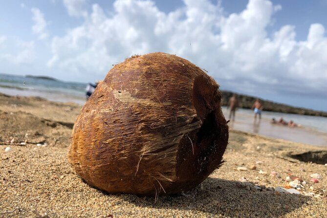 Gay Beach Adventure Queer Friendly Getaway in Puerto Rico Tour - Who Should Consider This Tour?