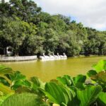 German Origins  Nova Petrópolis Tour - Final Thoughts