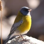 Glacier Hike at El Morado Glacier, from Santiago - Final Thoughts: Who Will Love This Tour?