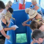 Glass Bottom Boat in Punta Cana - Why It Works for Many Travelers