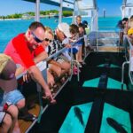 Glass Bottom Boat public & private in Punta Cana - The Practical Details: Transportation, Timing, and Group Size