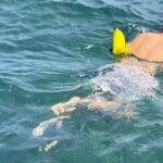 Glass bottom Boat Tour and Snorkeling Experience in Montego Bay - Who Should Book This Tour?